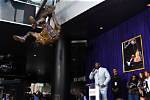 Unveiling the Extraordinary Journey of Shaquille O'neal's Brother