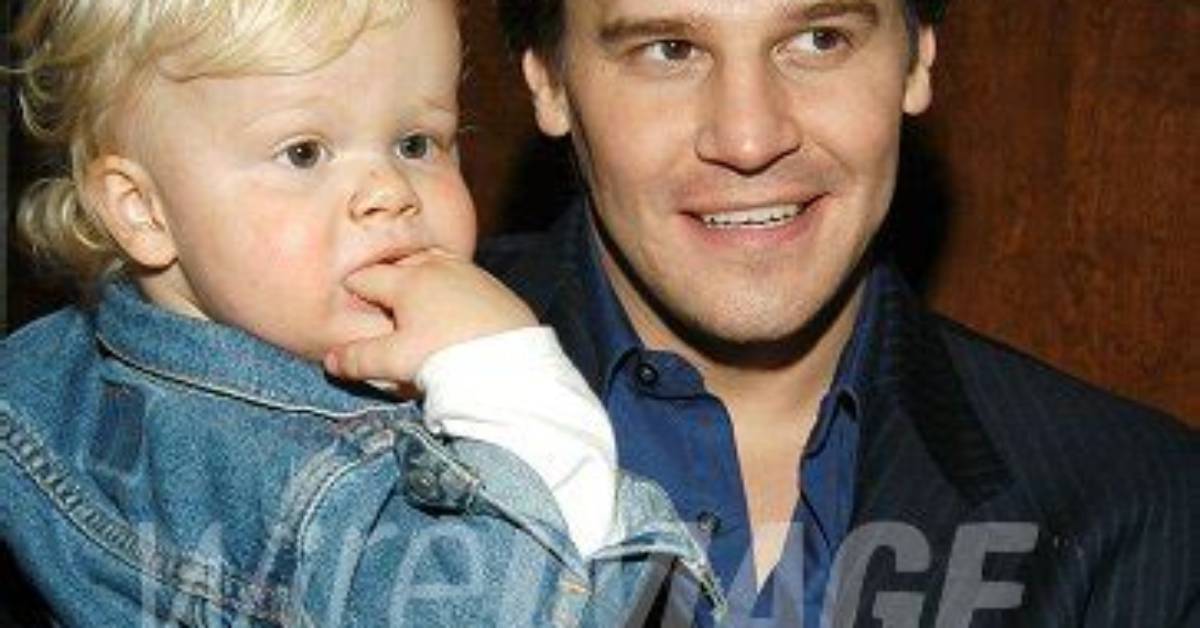 Unveiling the Family Ties: David Boreanaz's Children Revealed