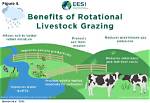 Unveiling the Future of Grazing Lands with Dianne Holechek Today