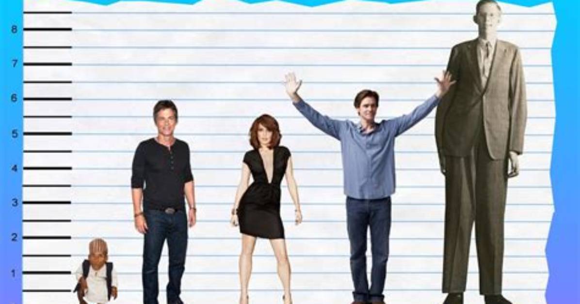 Unveiling the Height of Rob Lowe: How Tall Is He Really?