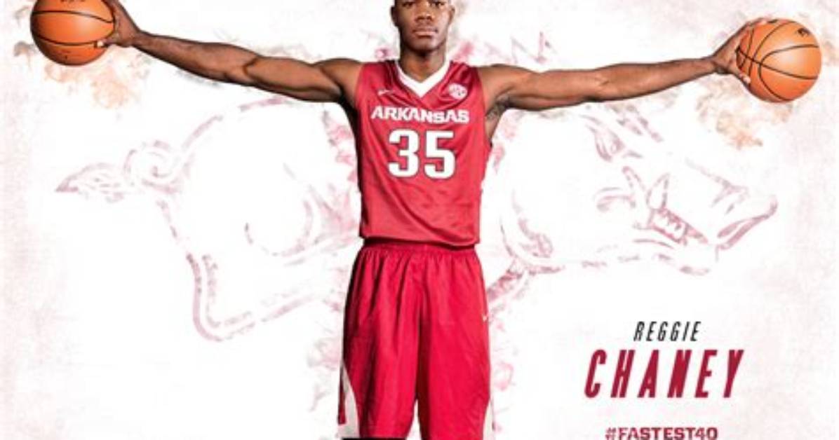 Unveiling the Journey of Reggie Chaney Basketball