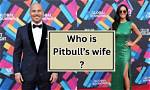 Unveiling the Life of Pitbull's Wife: a Journey Beyond the Spotlight