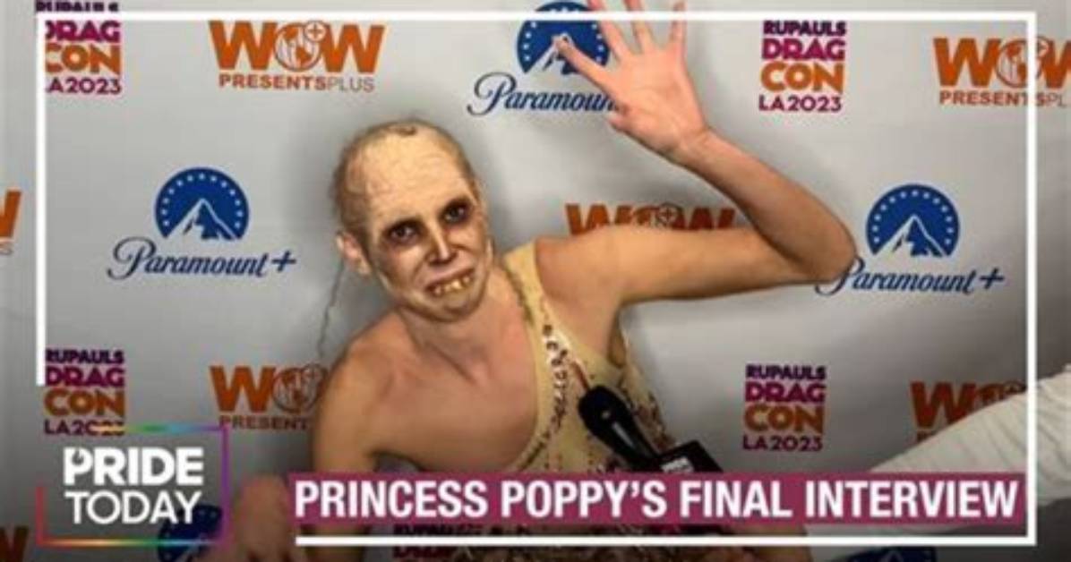 Unveiling the Littleprincesspoppy Leaks: Exclusive Insights and Revelations