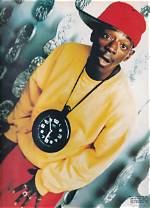 Unveiling the Lives of Flava Flav's Wives
