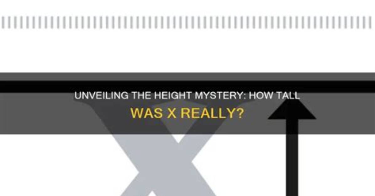 Unveiling the Mystery: How Tall Is Rob Lowe Really?
