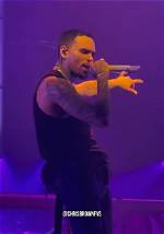 Unveiling the Mystery: Who Is Chris Brown Married to?