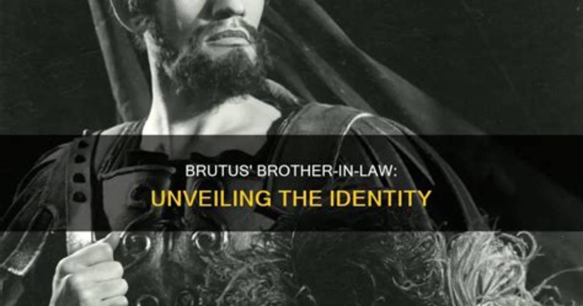 Unveiling the Profound Meaning Behind Brutus Lyrics: Discoveries and Insights