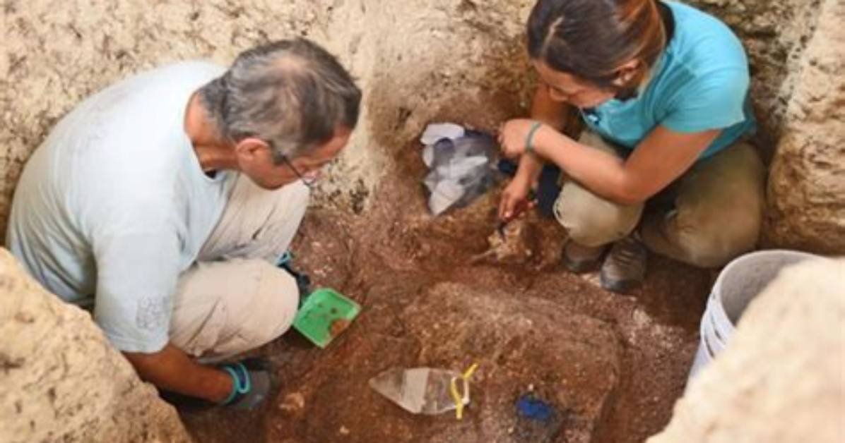 Unveiling the Revolutionary Discoveries of Maya S. Krishnan in Nanotechnology