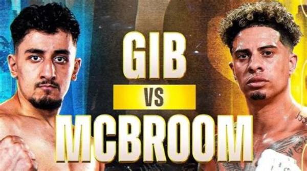Unveiling the Secrets: Gib Vs. Mcbroom: Insights and Discoveries