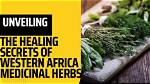 Unveiling the Secrets of Blackstone Herbs and Martini Bar: a Visual Journey