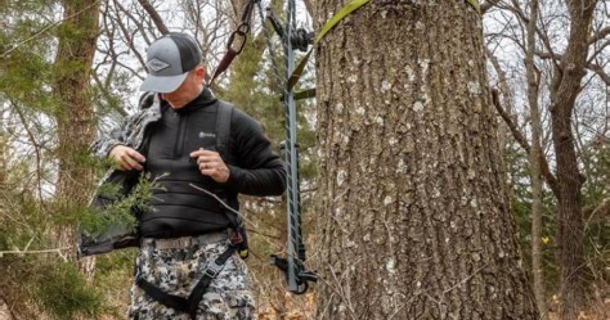 Unveiling the Secrets of Fortress Clothing's Staggering Net Worth