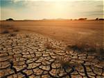 Unveiling the Secrets of Nature's Resilience with Naked and Afraid's Rachel