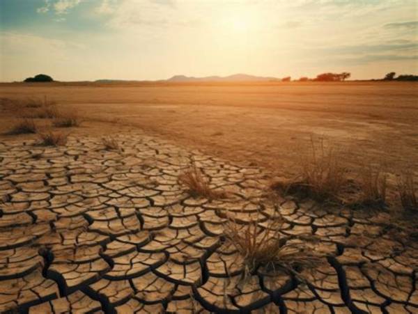 Unveiling the Secrets of Nature's Resilience with Naked and Afraid's Rachel