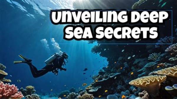 Unveiling the Secrets of Ocean Alley: Discoveries and Insights