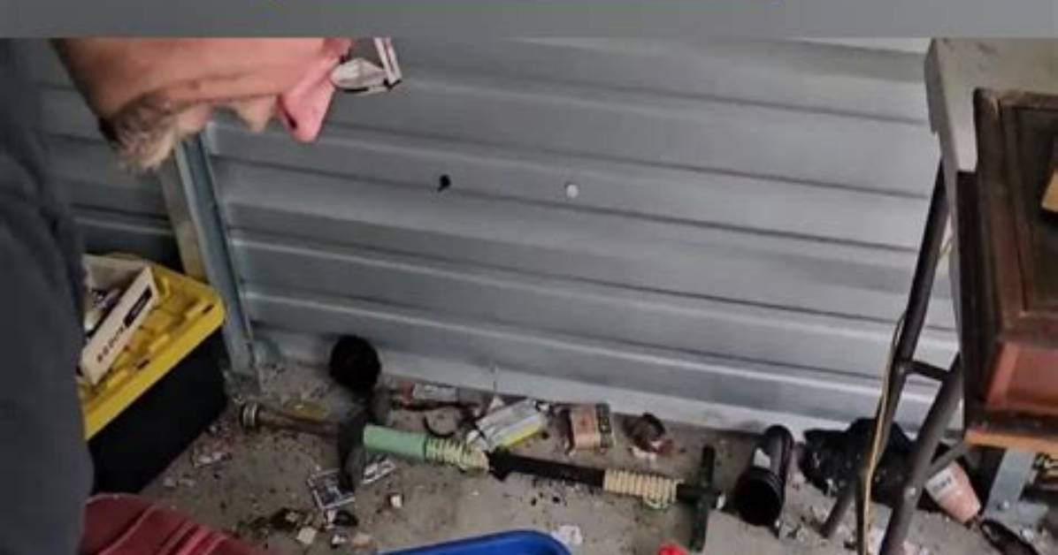 Unveiling the Secrets of Storage Unit Treasures