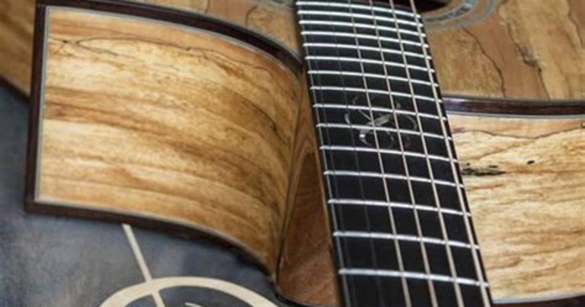 Unveiling the Secrets of Vik Guitars: a Journey of Discovery