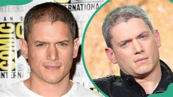 Unveiling the Truth About Wentworth Miller's Marital Status
