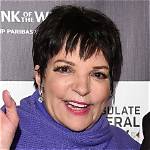 Unveiling the Vibrant Spirit of Liza Minnelli in Her Youth