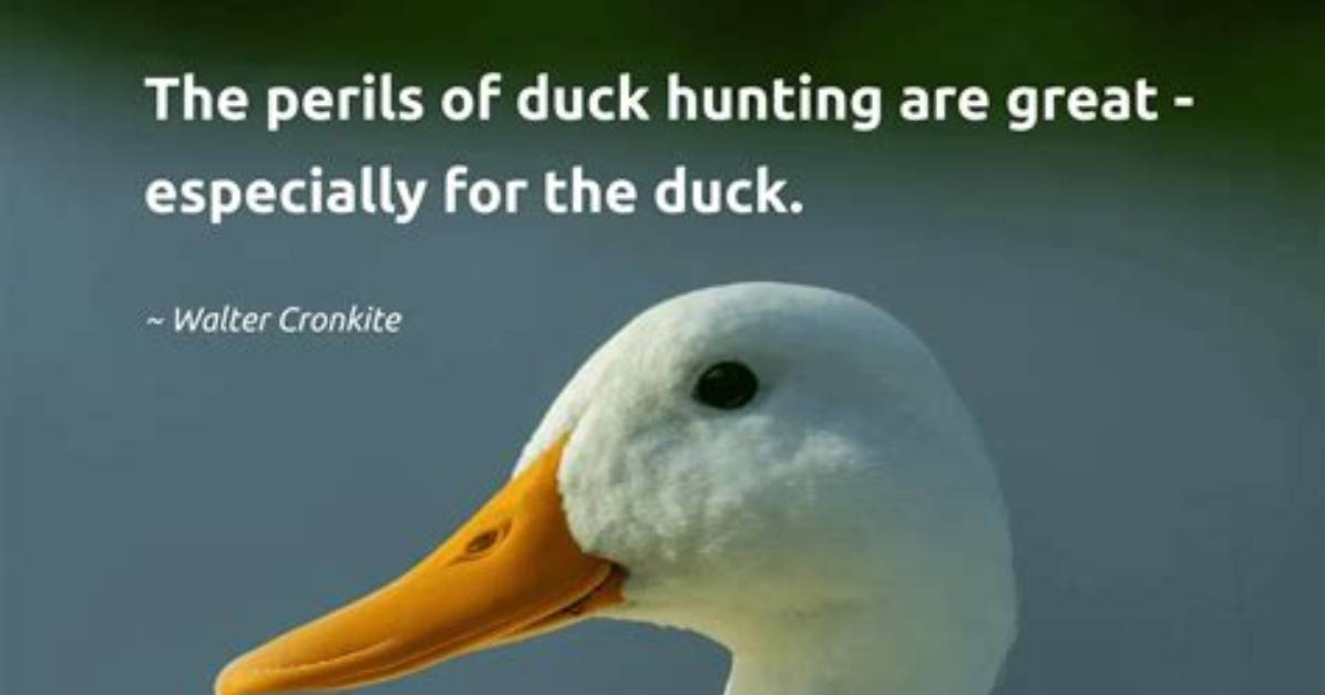 Unveiling the Wisdom: Duck Hunting Sayings for a Successful Hunt