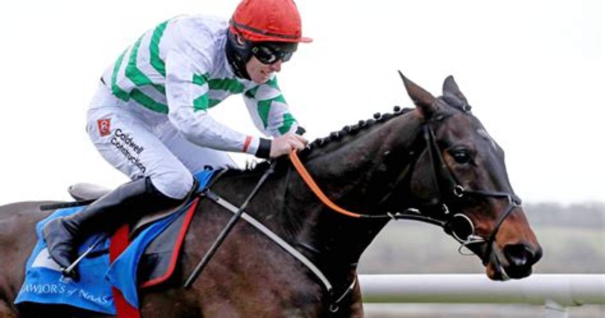 What Happened to Ginto Horse? Cheltenham Death as Fans Are Mourning