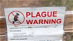 What Health Problems Plague Anant?