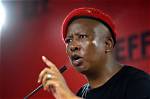 What Is Julius Malema's Age? Explore His Life Timeline