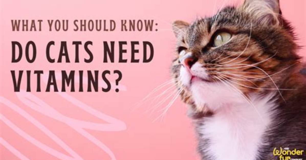 What You Need to Know: Do Cats Like to Be Covered with Blankets?