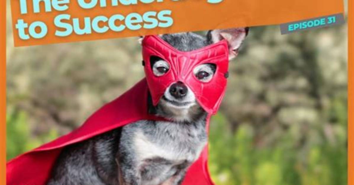 Your Guide to Babging the Underdog in 2022